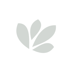 SAMPLE Precious Body Oil 10 ml